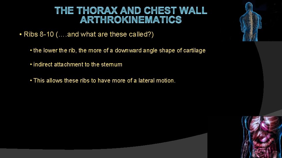 THE THORAX AND CHEST WALL ARTHROKINEMATICS • Ribs 8 -10 (…. and what are