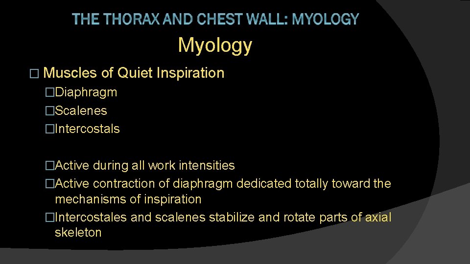 Myology � Muscles of Quiet Inspiration �Diaphragm �Scalenes �Intercostals �Active during all work intensities