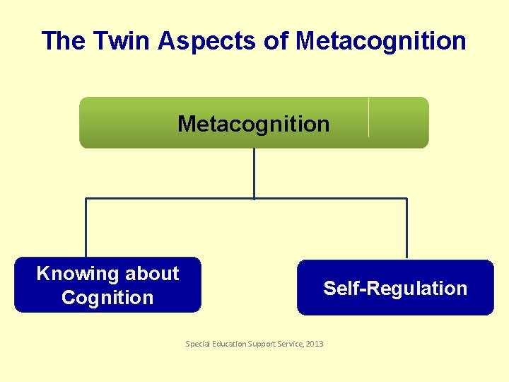 The Twin Aspects of Metacognition Knowing about Cognition Self-Regulation Special Education Support Service, 2013
