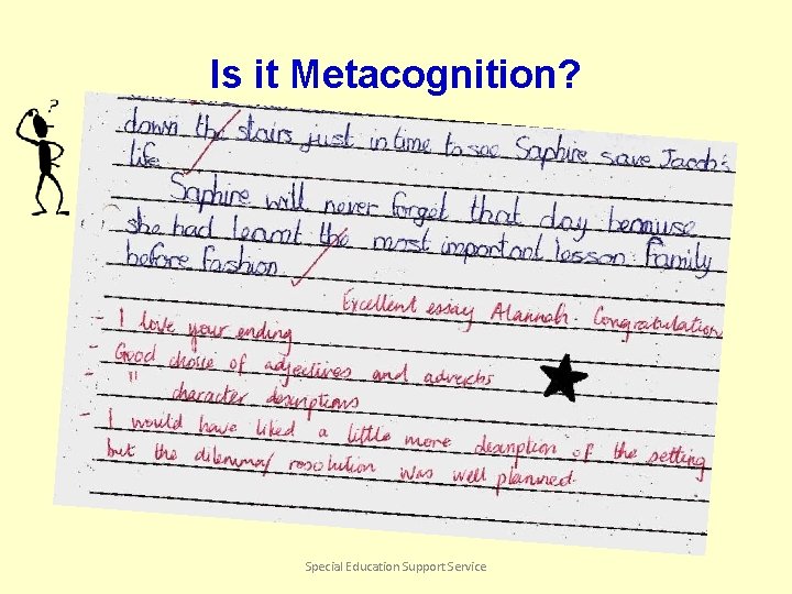 Is it Metacognition? Special Education Support Service 