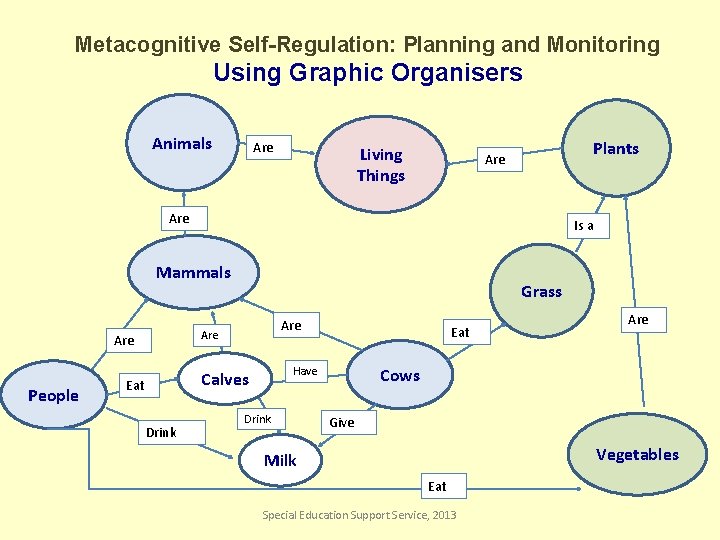 Metacognitive Self-Regulation: Planning and Monitoring Using Graphic Organisers Animals Are Living Things Plants Are