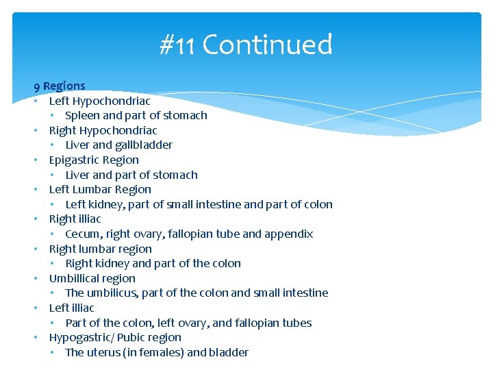 #11 Continued 9 Regions • Left Hypochondriac • Spleen and part of stomach • #11 Continued 9 Regions • Left Hypochondriac • Spleen and part of stomach •