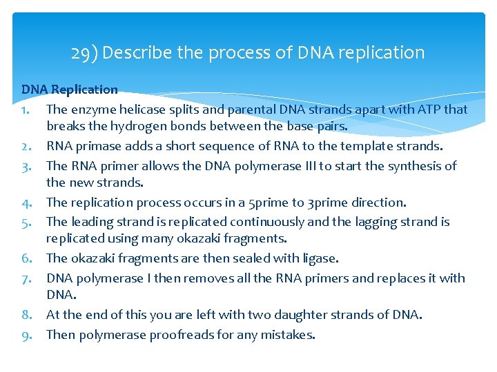 29) Describe the process of DNA replication DNA Replication 1. The enzyme helicase splits 29) Describe the process of DNA replication DNA Replication 1. The enzyme helicase splits