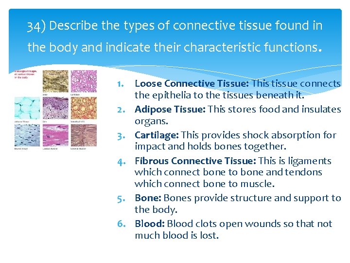 34) Describe the types of connective tissue found in the body and indicate their 34) Describe the types of connective tissue found in the body and indicate their