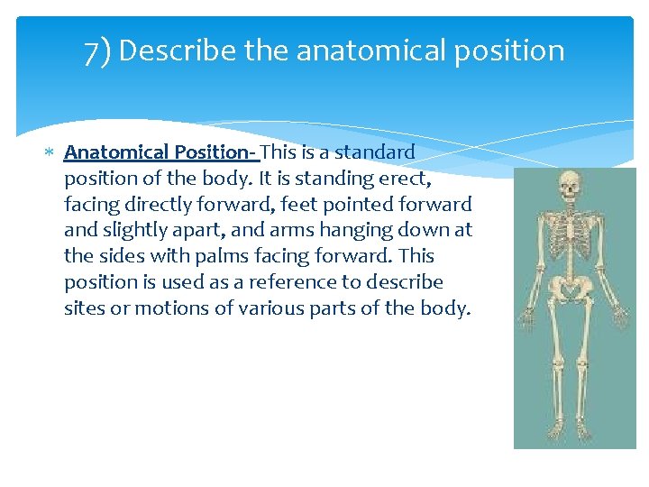 7) Describe the anatomical position Anatomical Position- This is a standard position of the