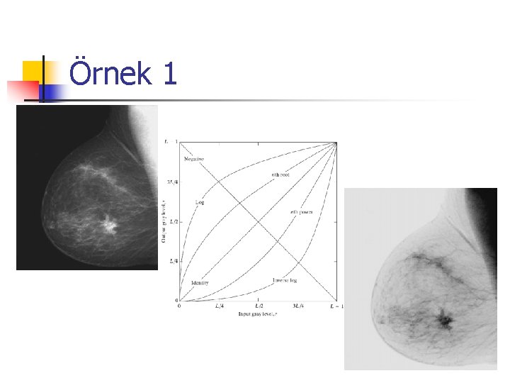 Örnek 1 