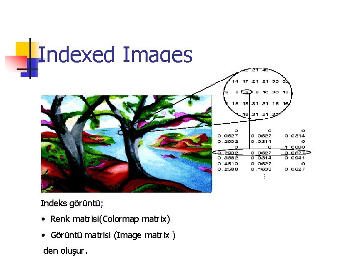 Indexed Images Indeks görüntü; • Renk matrisi(Colormap matrix) • Görüntü matrisi (Image matrix )