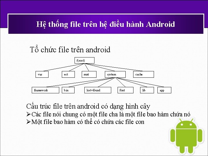 Hệ thống file trên hệ điều hành Android Tổ chức file trên android /(root)