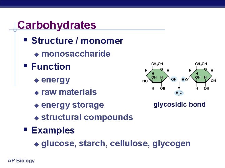Carbohydrates § Structure / monomer u monosaccharide § Function energy u raw materials u
