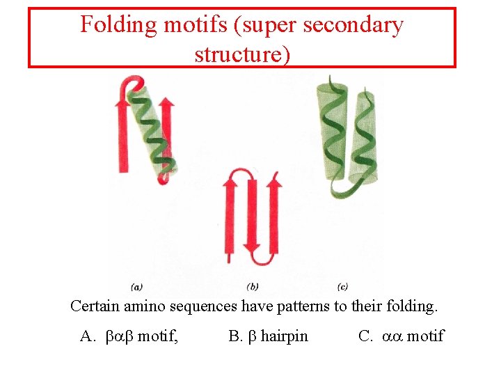 Folding motifs (super secondary structure) Certain amino sequences have patterns to their folding. A.