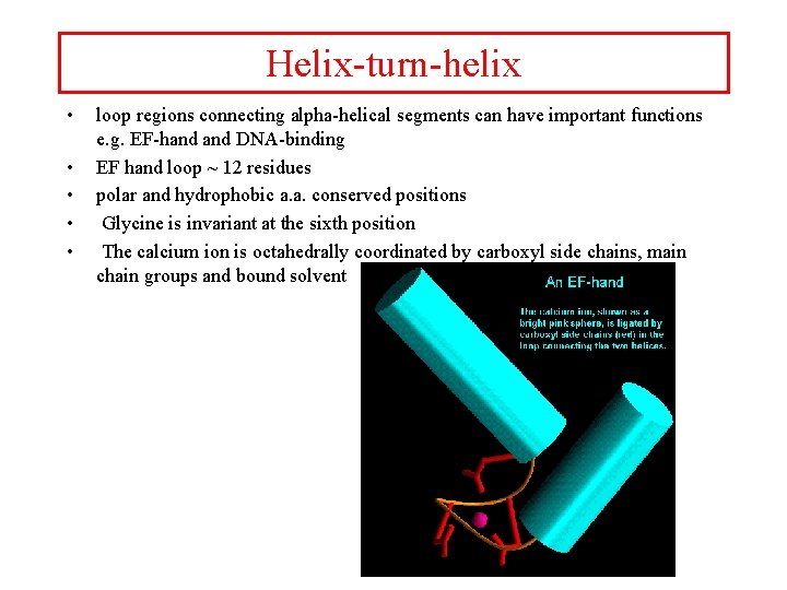 Helix-turn-helix • • • loop regions connecting alpha-helical segments can have important functions e.