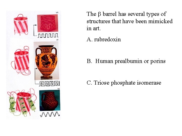 The b barrel has several types of structures that have been mimicked in art.