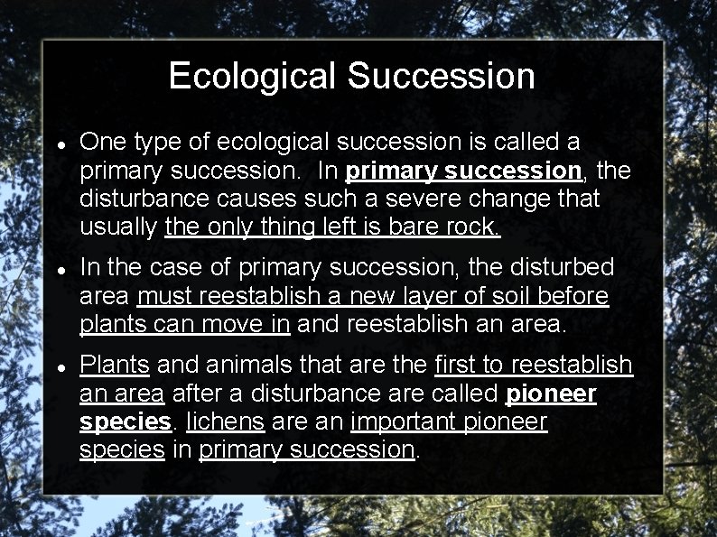 Ecological Succession One type of ecological succession is called a primary succession. In primary