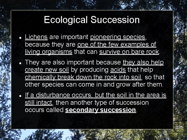 Ecological Succession Lichens are important pioneering species, because they are one of the few