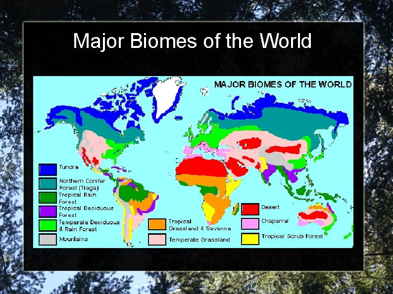 Major Biomes of the World 