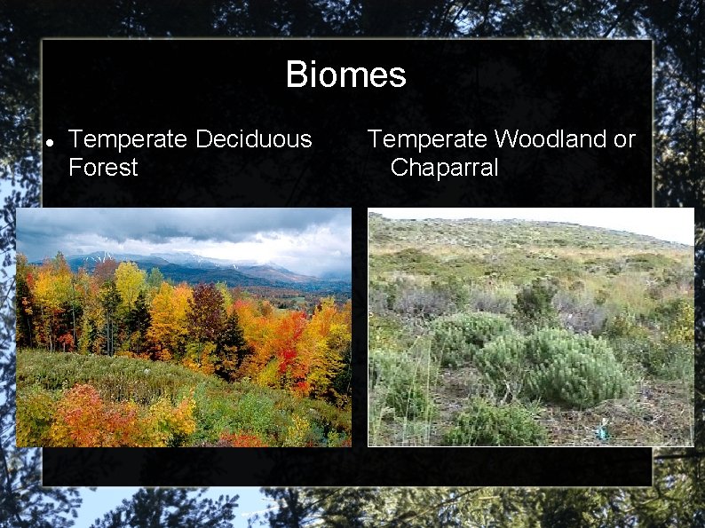 Biomes Temperate Deciduous Forest Temperate Woodland or Chaparral 