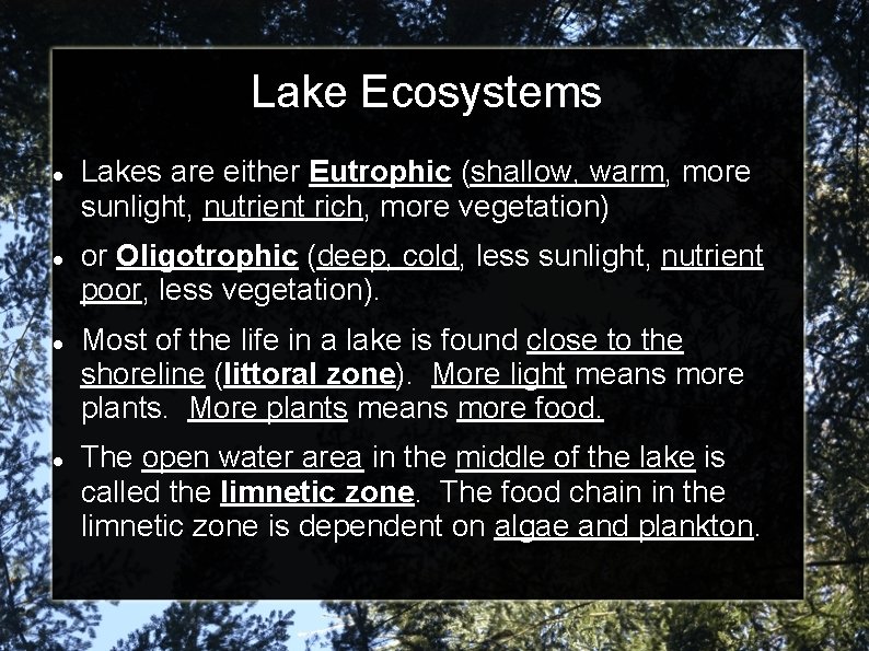 Lake Ecosystems Lakes are either Eutrophic (shallow, warm, more sunlight, nutrient rich, more vegetation)