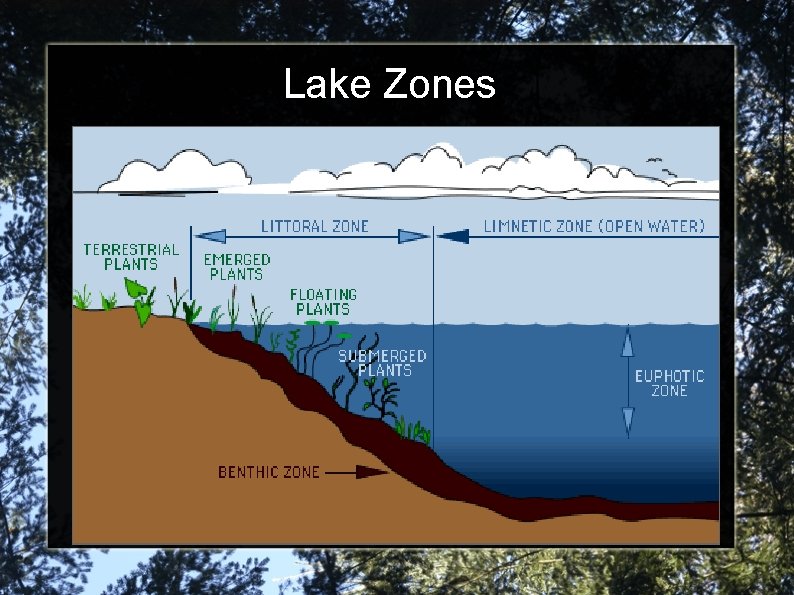 Lake Zones 