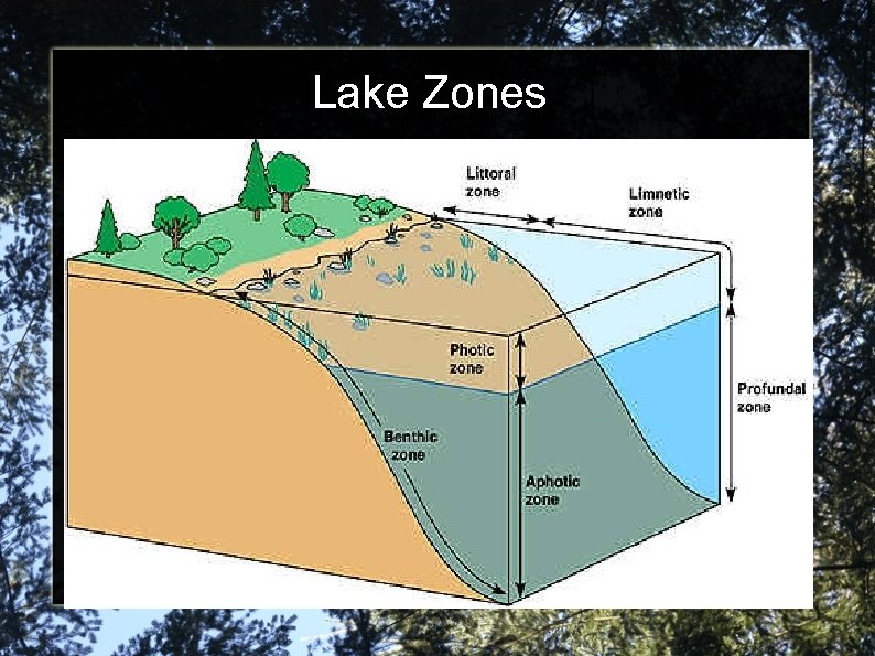 Lake Zones 