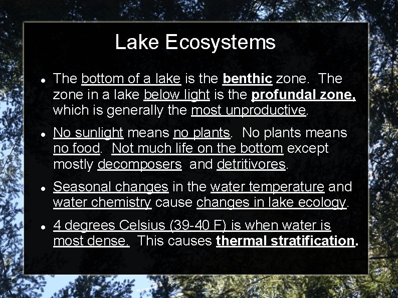 Lake Ecosystems The bottom of a lake is the benthic zone. The zone in