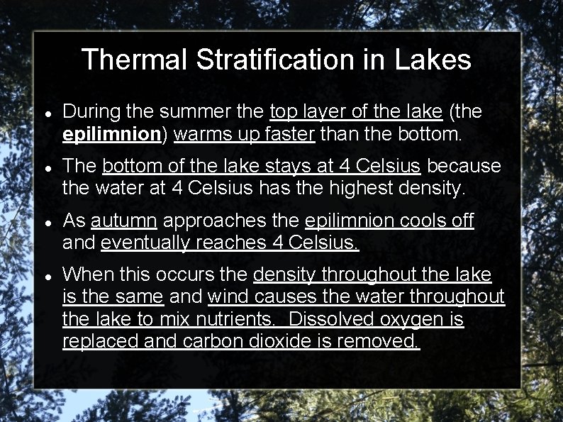 Thermal Stratification in Lakes During the summer the top layer of the lake (the