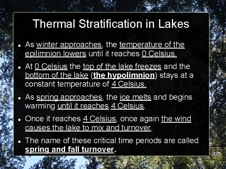 Thermal Stratification in Lakes As winter approaches, the temperature of the epilimnion lowers until