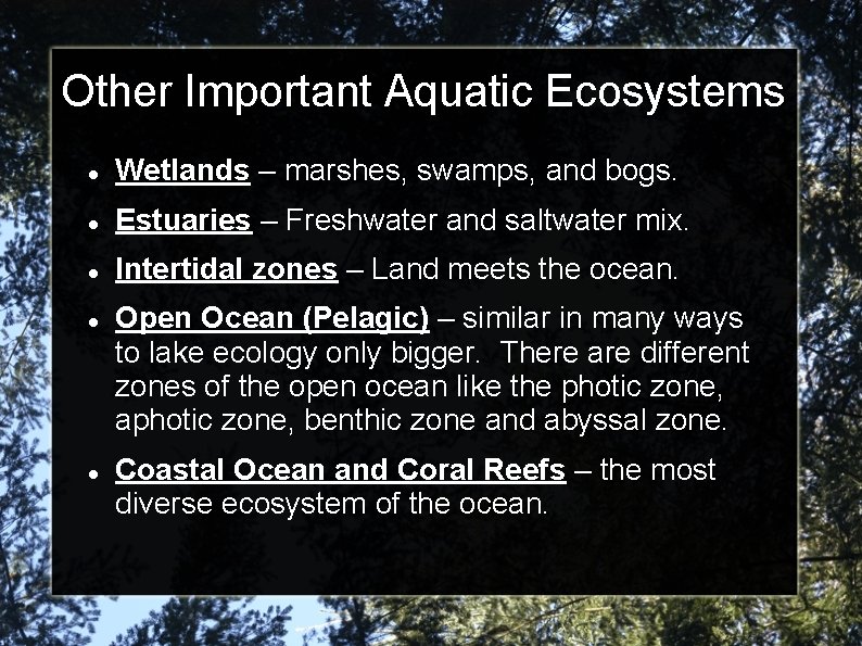 Other Important Aquatic Ecosystems Wetlands – marshes, swamps, and bogs. Estuaries – Freshwater and