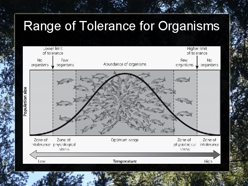 Range of Tolerance for Organisms 