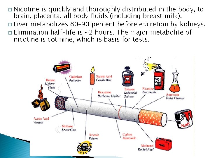 Nicotine is quickly and thoroughly distributed in the body, to brain, placenta, all body