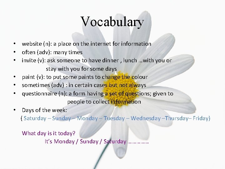 Vocabulary • website (n): a place on the internet for information • often (adv):