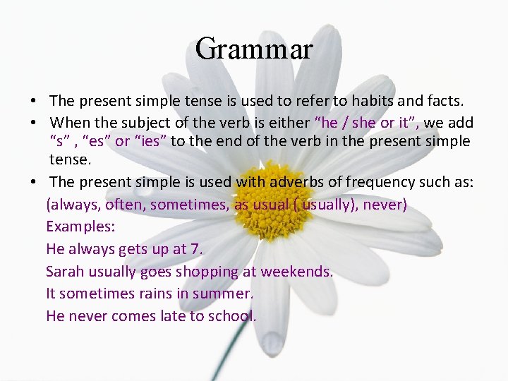 Grammar • The present simple tense is used to refer to habits and facts.
