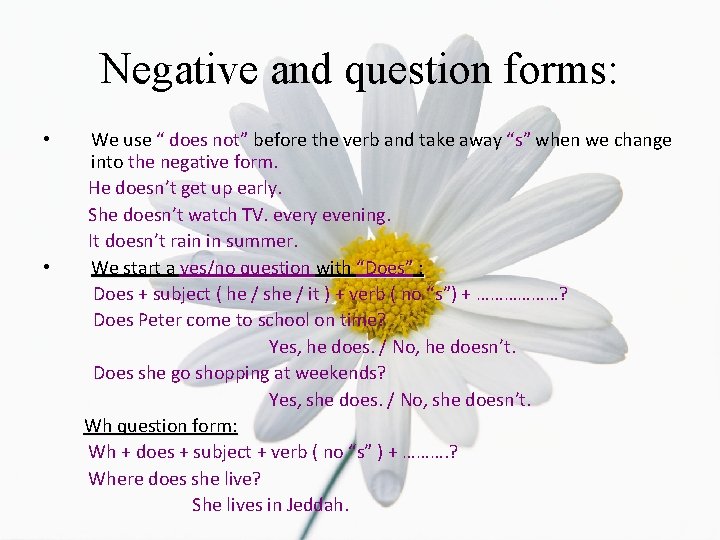 Negative and question forms: • • We use “ does not” before the verb