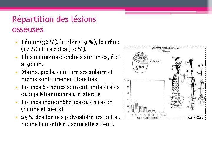 Répartition des lésions osseuses • Fémur (36 %), le tibia (19 %), le crâne