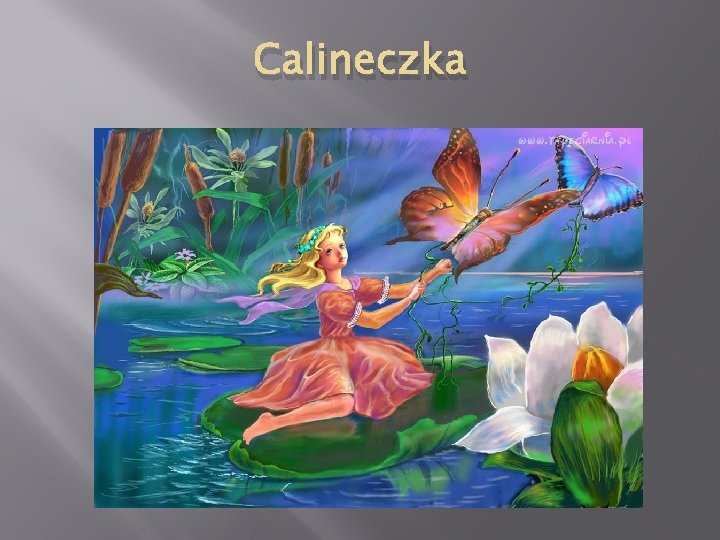 Calineczka 