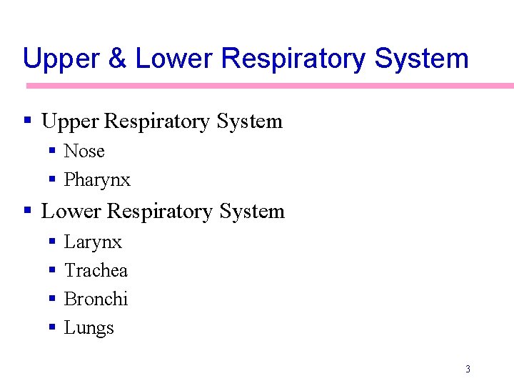 Upper & Lower Respiratory System § Upper Respiratory System § Nose § Pharynx §