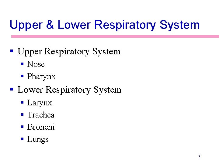 Upper & Lower Respiratory System § Upper Respiratory System § Nose § Pharynx §