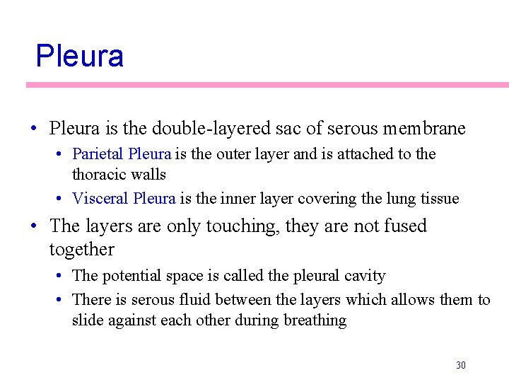 Pleura • Pleura is the double-layered sac of serous membrane • Parietal Pleura is