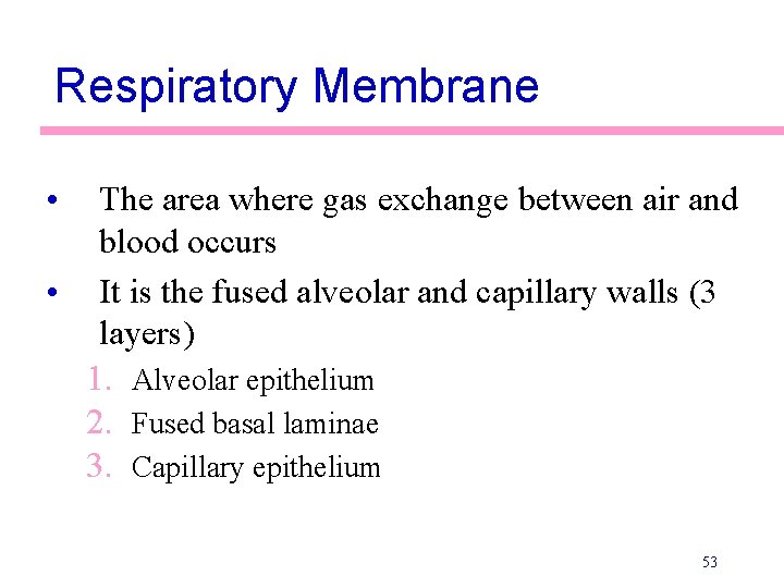 Respiratory Membrane • The area where gas exchange between air and blood occurs •