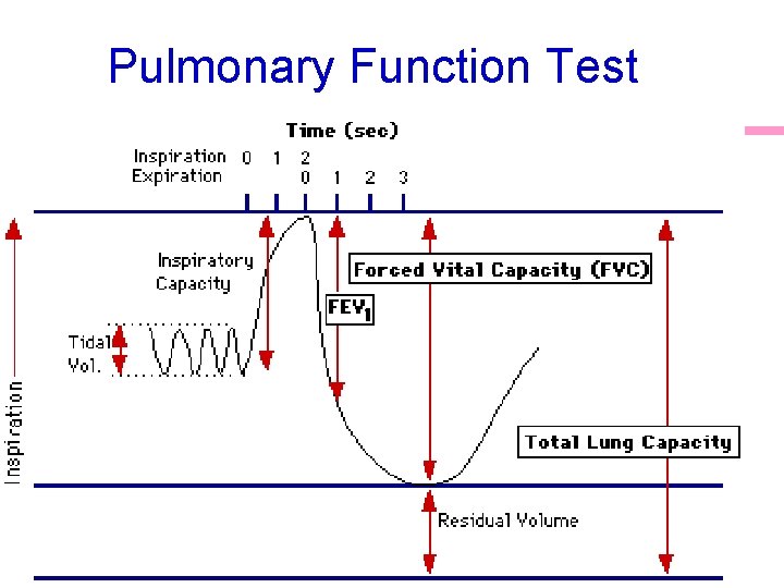 Pulmonary Function Test 63 