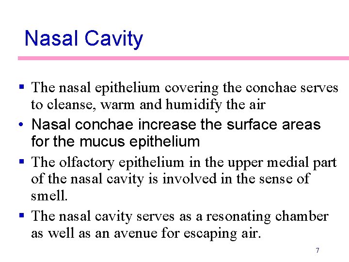Nasal Cavity § The nasal epithelium covering the conchae serves to cleanse, warm and