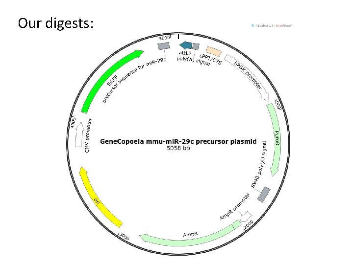 Our digests: 