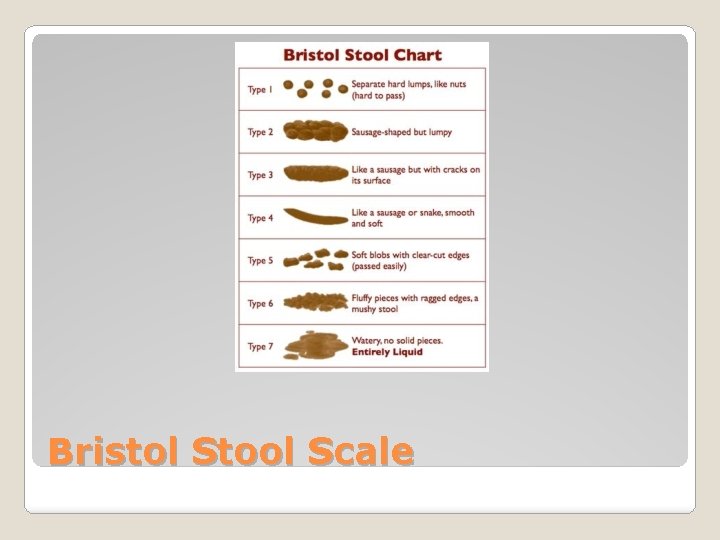 Bristol Stool Scale 