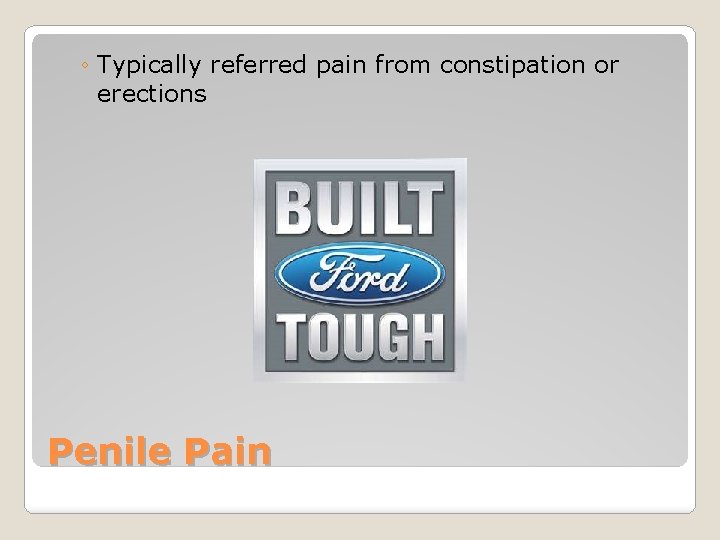 ◦ Typically referred pain from constipation or erections Penile Pain 