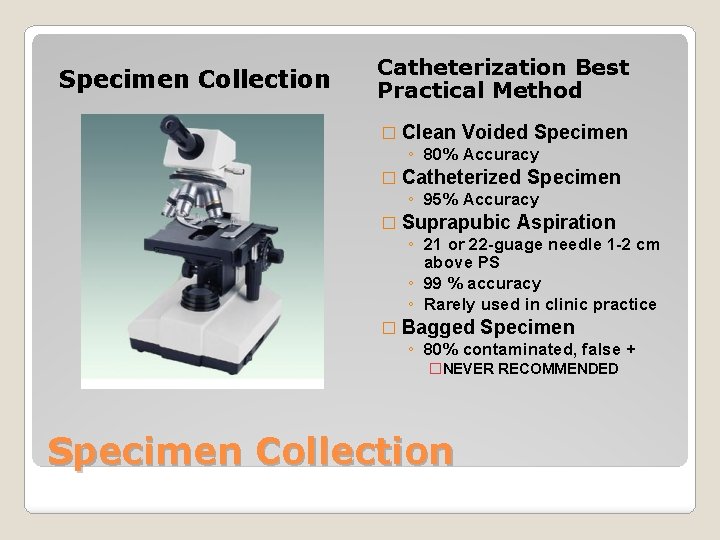 Specimen Collection Catheterization Best Practical Method � Clean Voided Specimen ◦ 80% Accuracy �