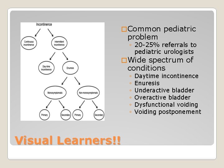 � Common problem pediatric ◦ 20 -25% referrals to pediatric urologists � Wide spectrum