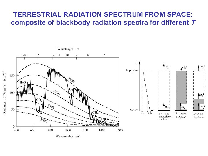 TERRESTRIAL RADIATION SPECTRUM FROM SPACE: composite of blackbody radiation spectra for different T 