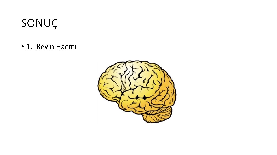 SONUÇ • 1. Beyin Hacmi 