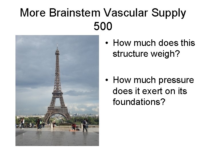 More Brainstem Vascular Supply 500 • How much does this structure weigh? • How More Brainstem Vascular Supply 500 • How much does this structure weigh? • How