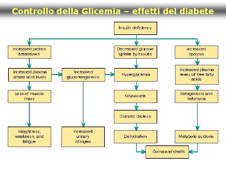 Controllo della Glicemia – effetti del diabete 