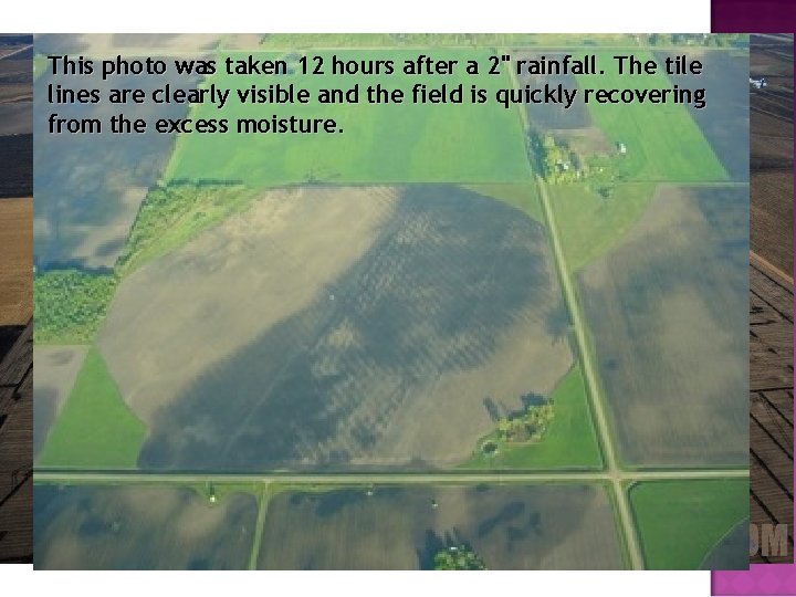 This photo was taken 12 hours after a 2" rainfall. The tile lines are